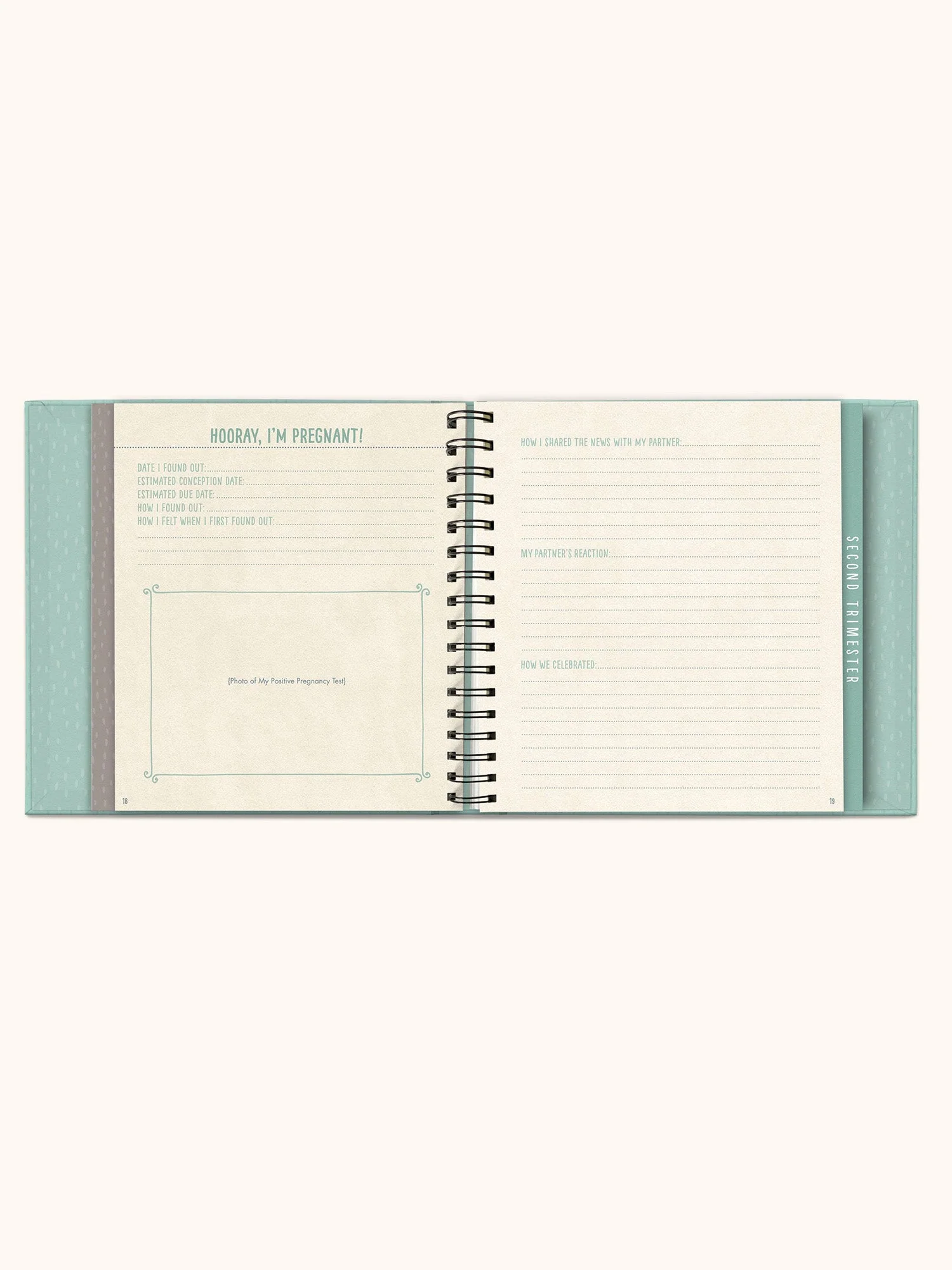Bump For Joy Guided Journal - Image 6