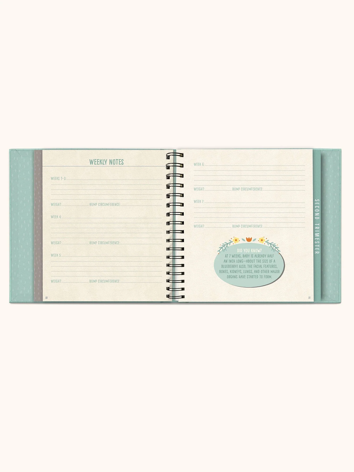 Bump For Joy Guided Journal - Image 7
