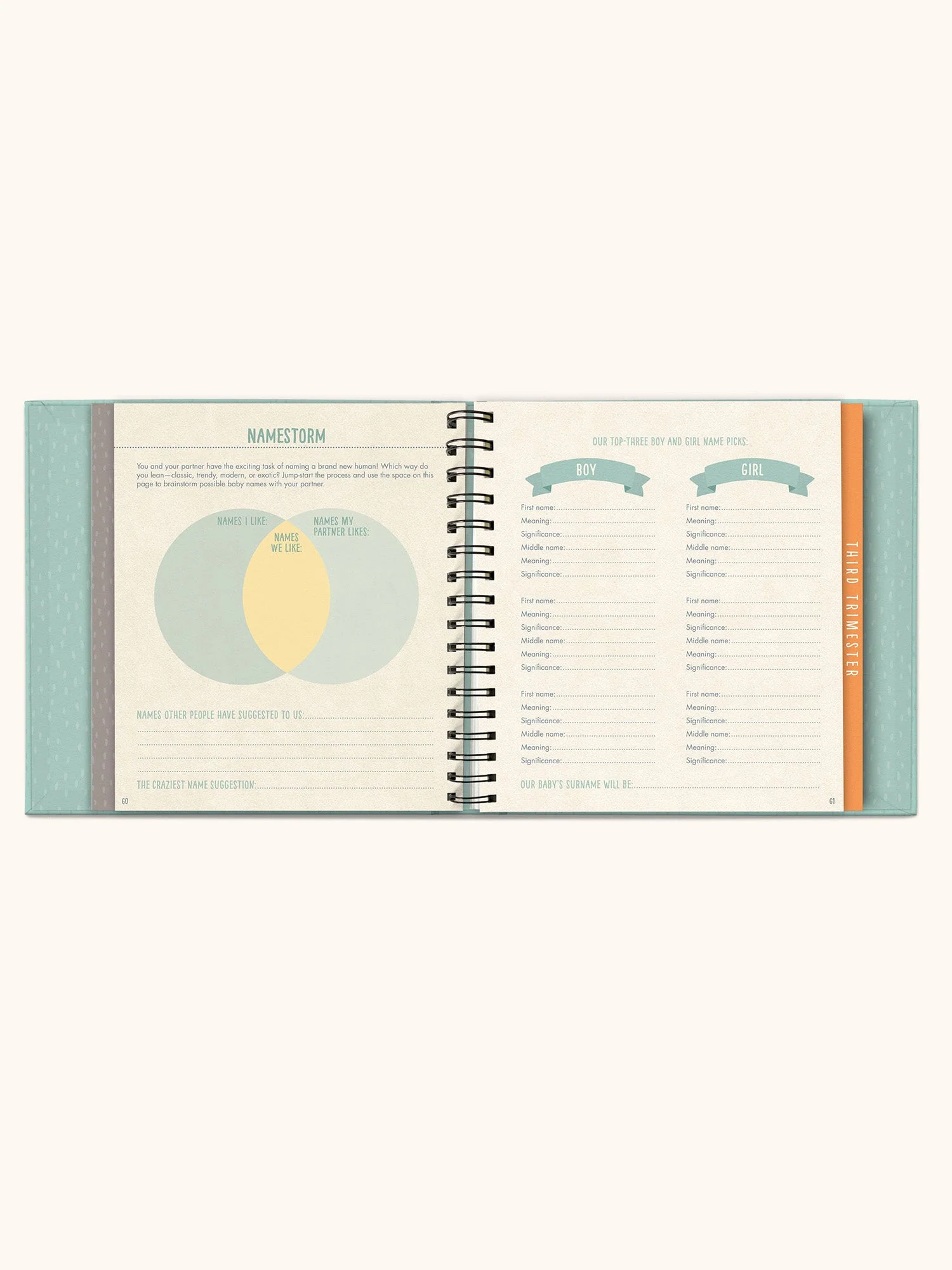 Bump For Joy Guided Journal - Image 9