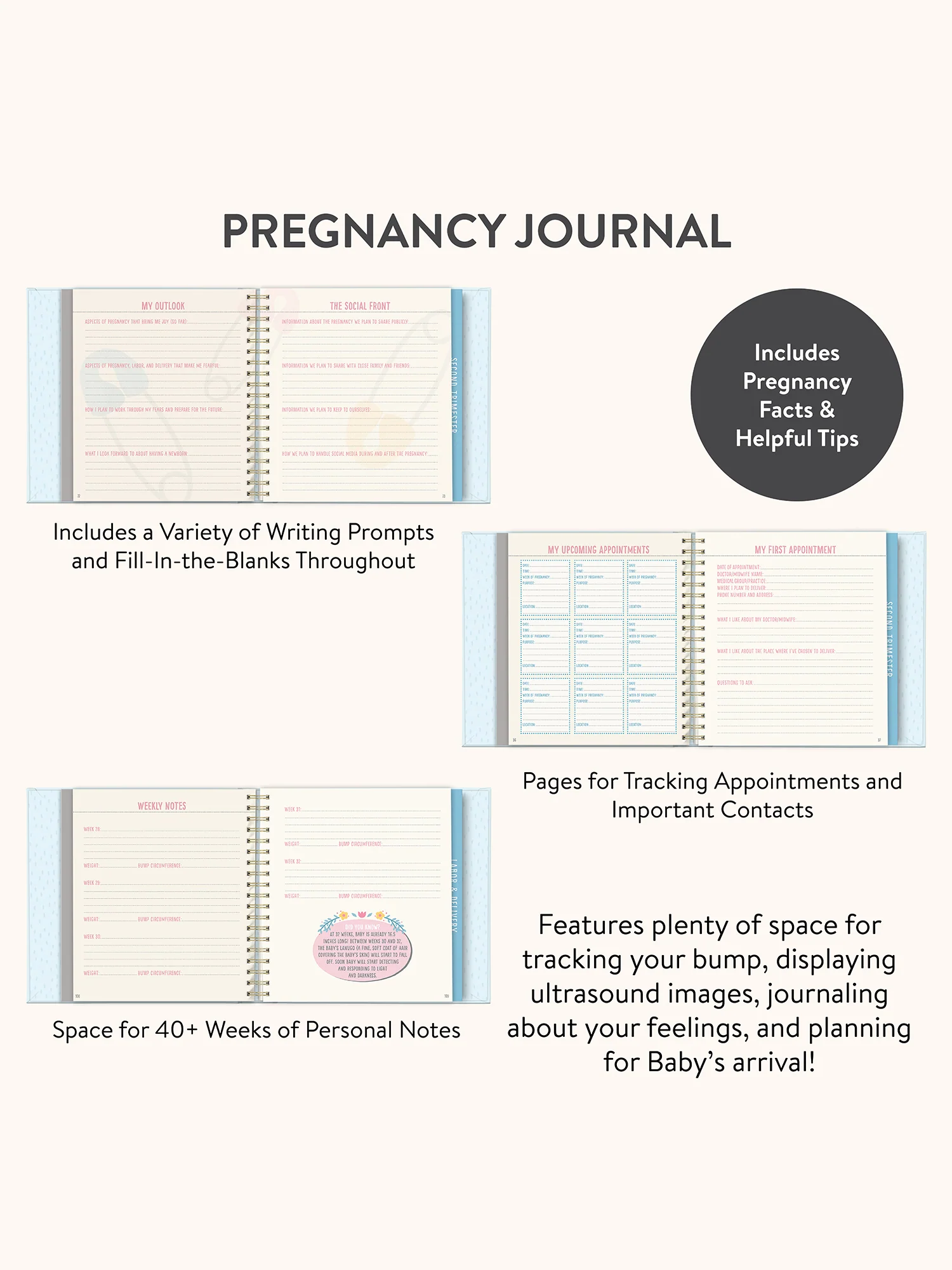 Bump For Joy Guided Journal (Blue) - Image 3